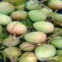 হাড়ি ভাঙ্গা